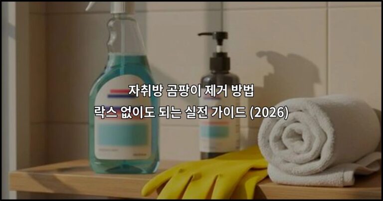 자취방 곰팡이 제거 방법 | 락스 없이도 되는 실전 가이드 (2026)