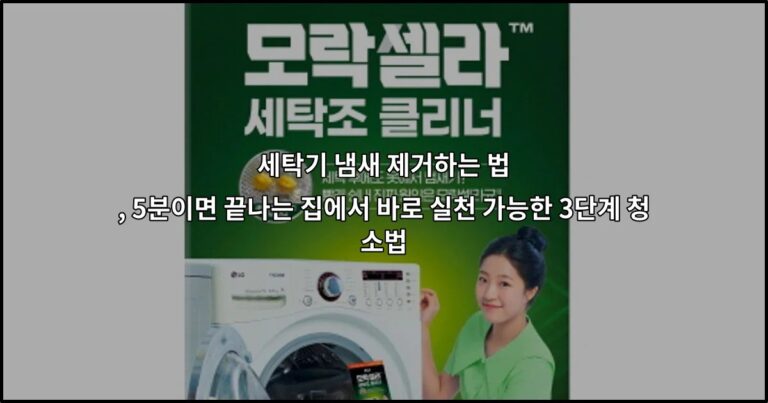 세탁기 냄새 제거하는 법 , 5분이면 끝나는 집에서 바로 실천 가능한 3단계 청소법