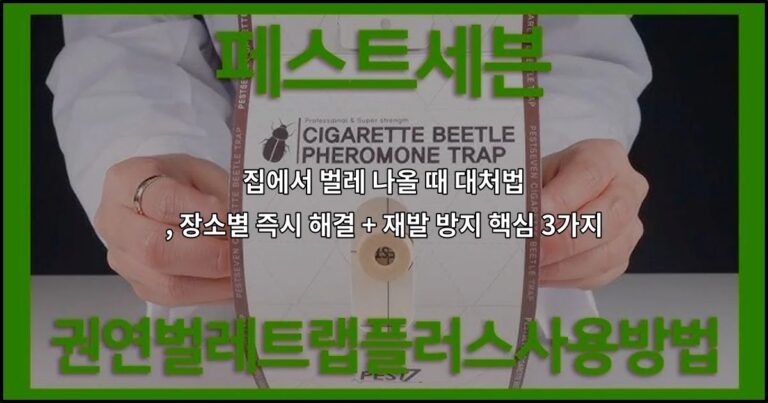 집에서 벌레 나올 때 대처법 , 장소별 즉시 해결 + 재발 방지 핵심 3가지